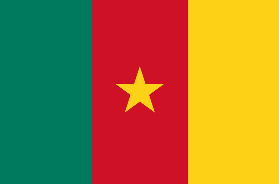 Bac Cameroun