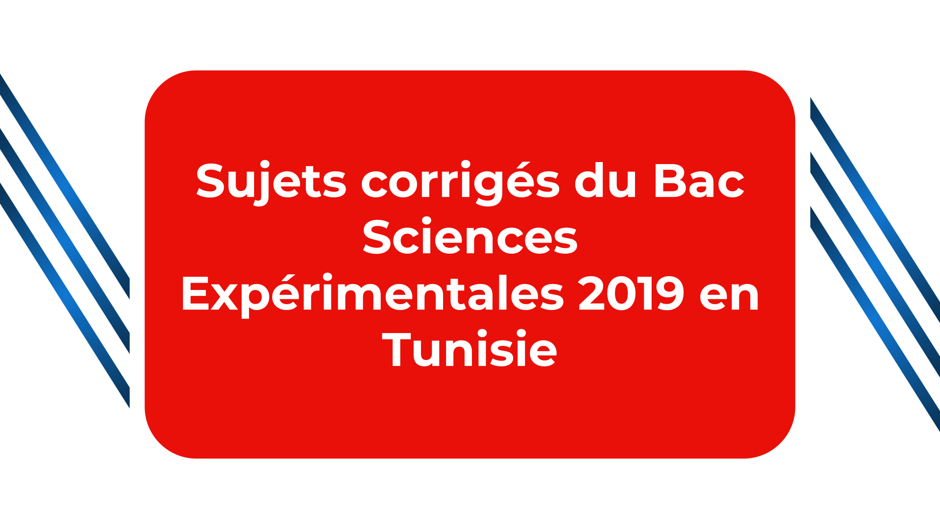 Bac Sciences Expérimentales 2019 Tunisie
