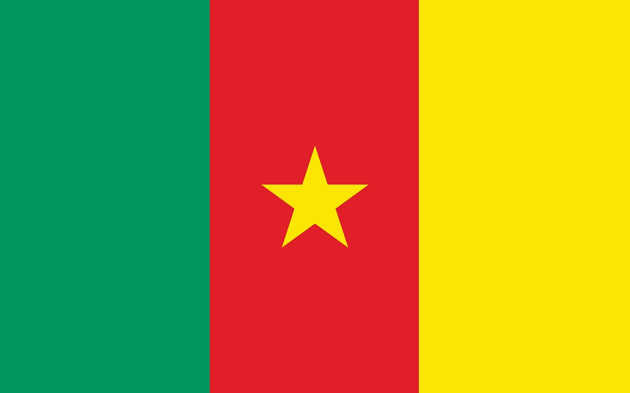 Sujets Corrigés des exercices du Bac au Cameroun à télécharger